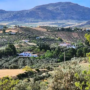 Amorosa Bed and breakfast